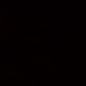 Meet your Posher, Elvia